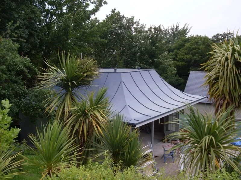 House with a distinctive curved metal roof surrounded by lush green trees and plants.