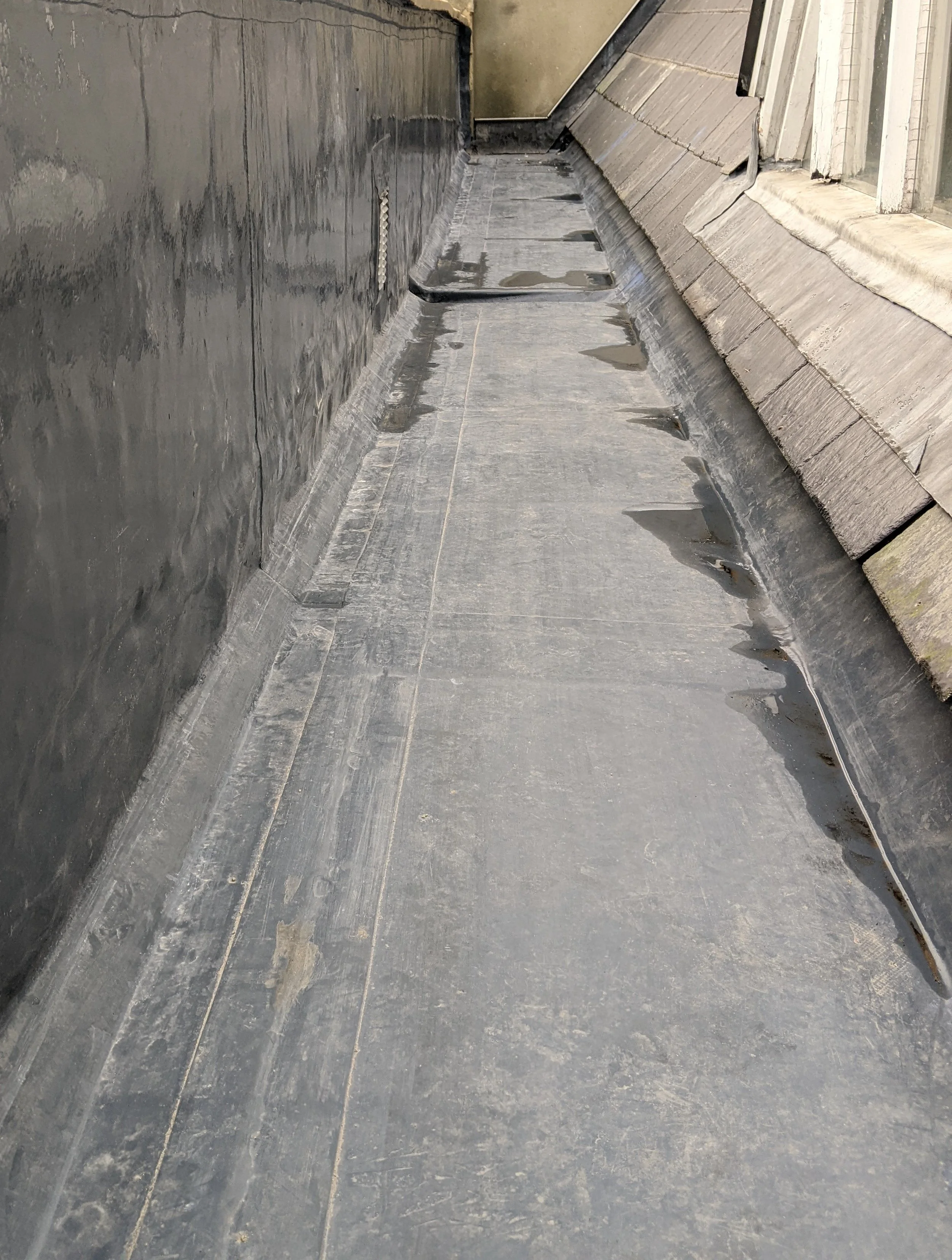 View of a roof gutter with black waterproof coating and a sloped roof with gray shingles.