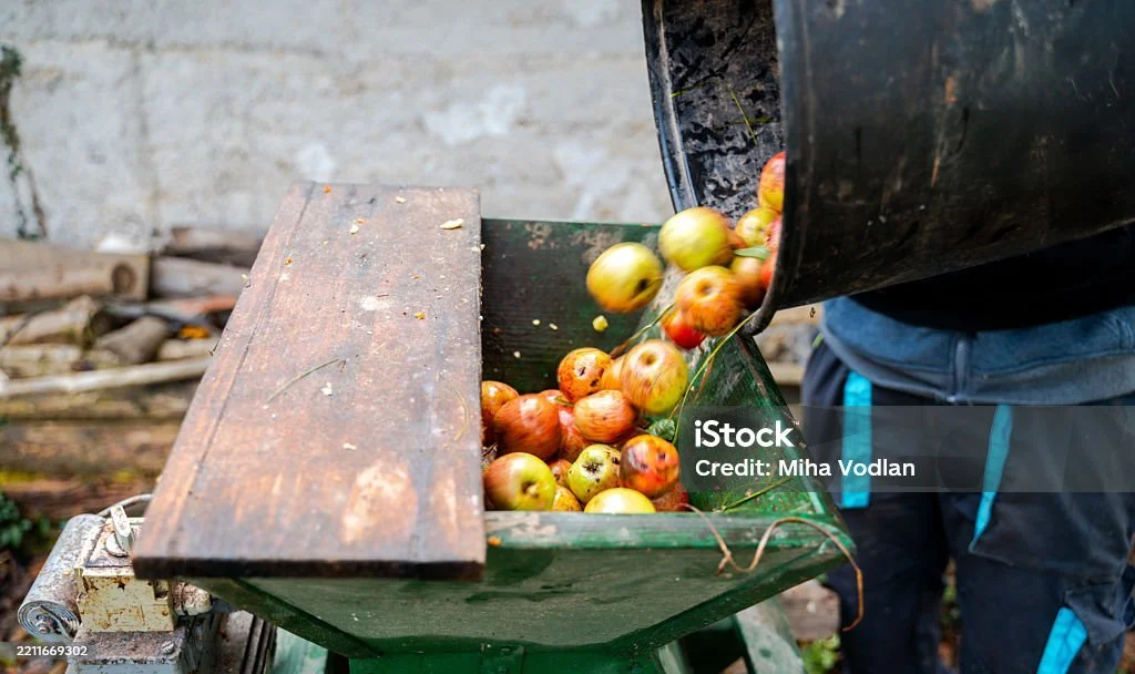 istockphoto-2211669302-1024x1024.jpg