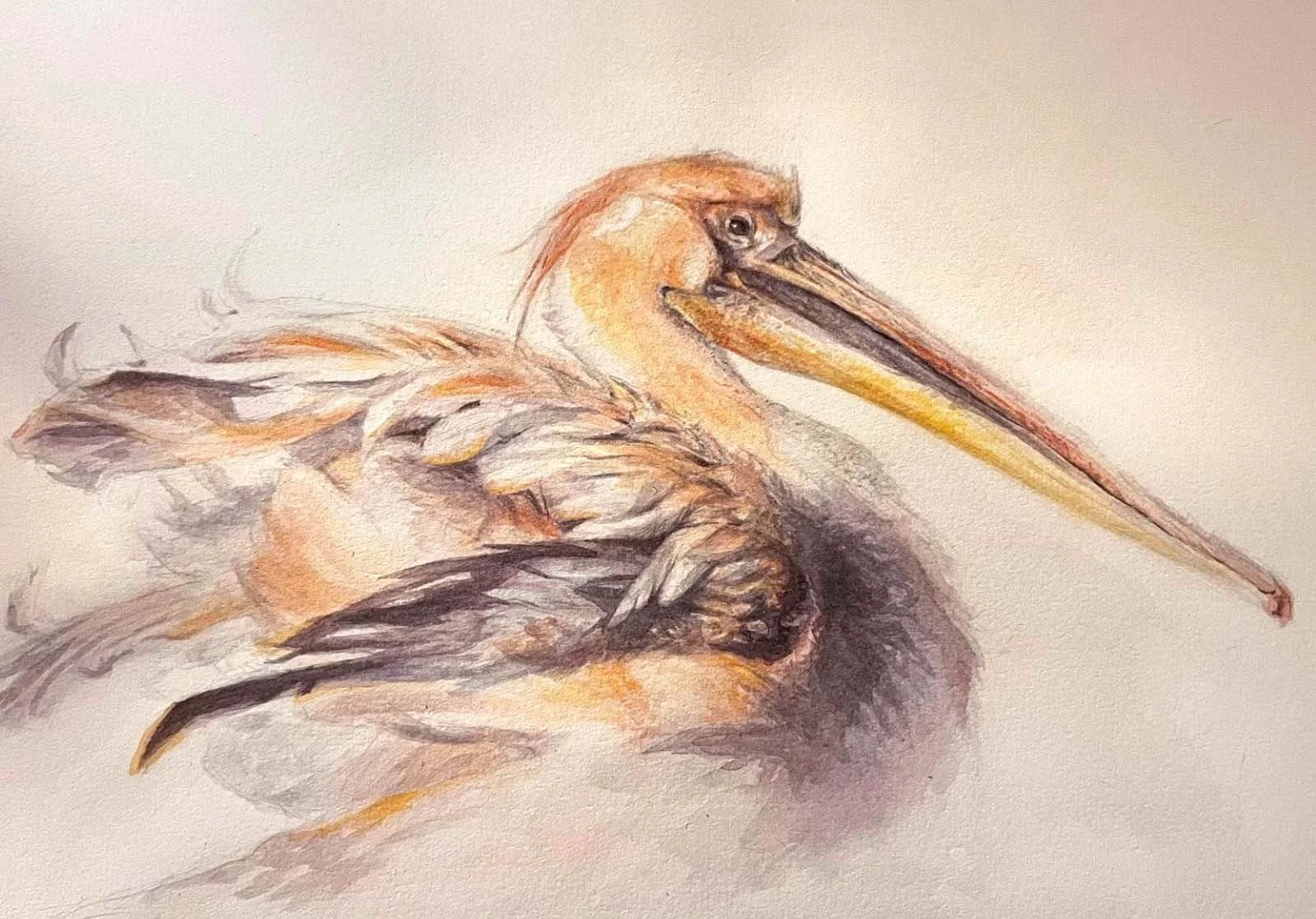 "Federn und Falten III"