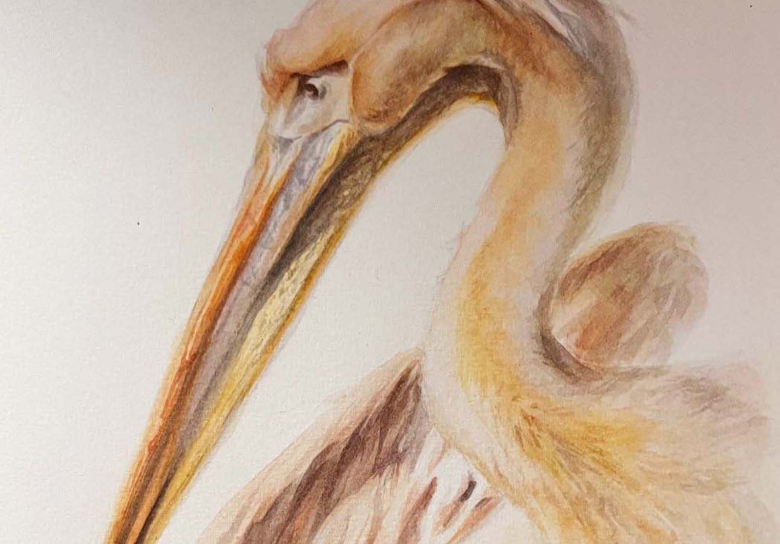 "Federn und Falten I"