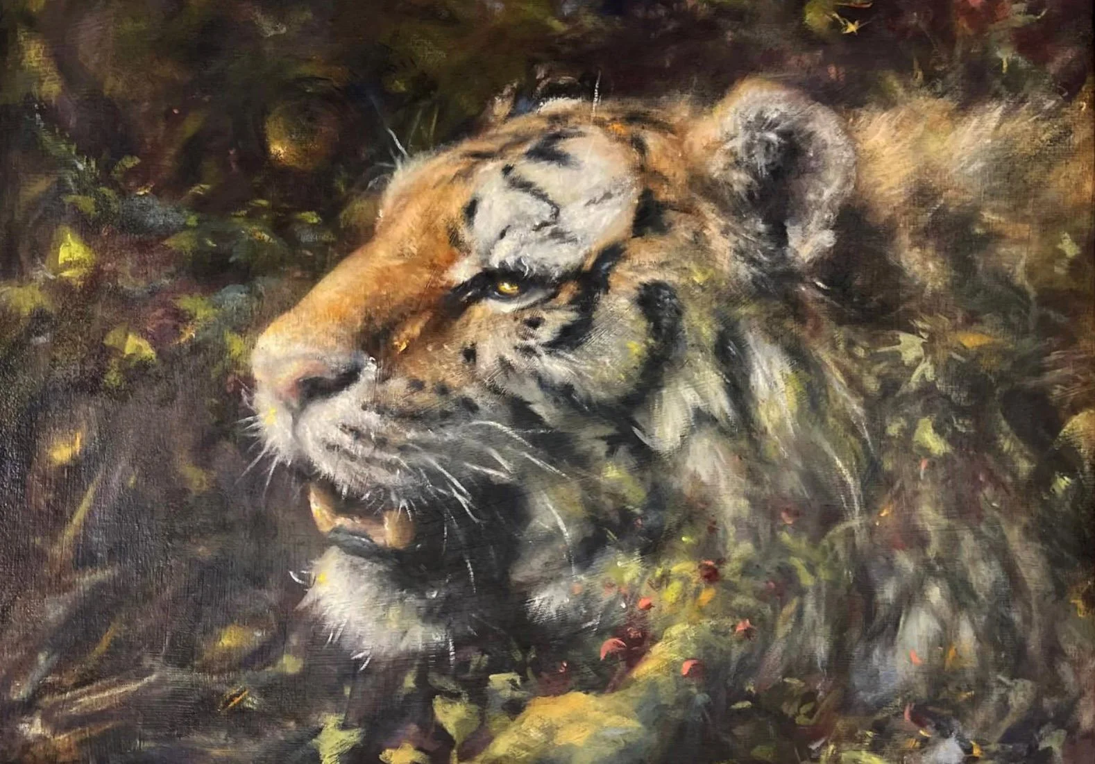 "Im Auge des Tigers"
