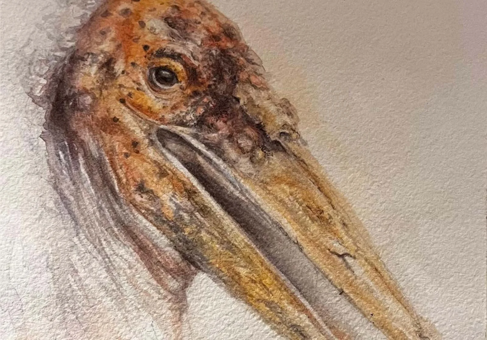 "Federn und Falten II"