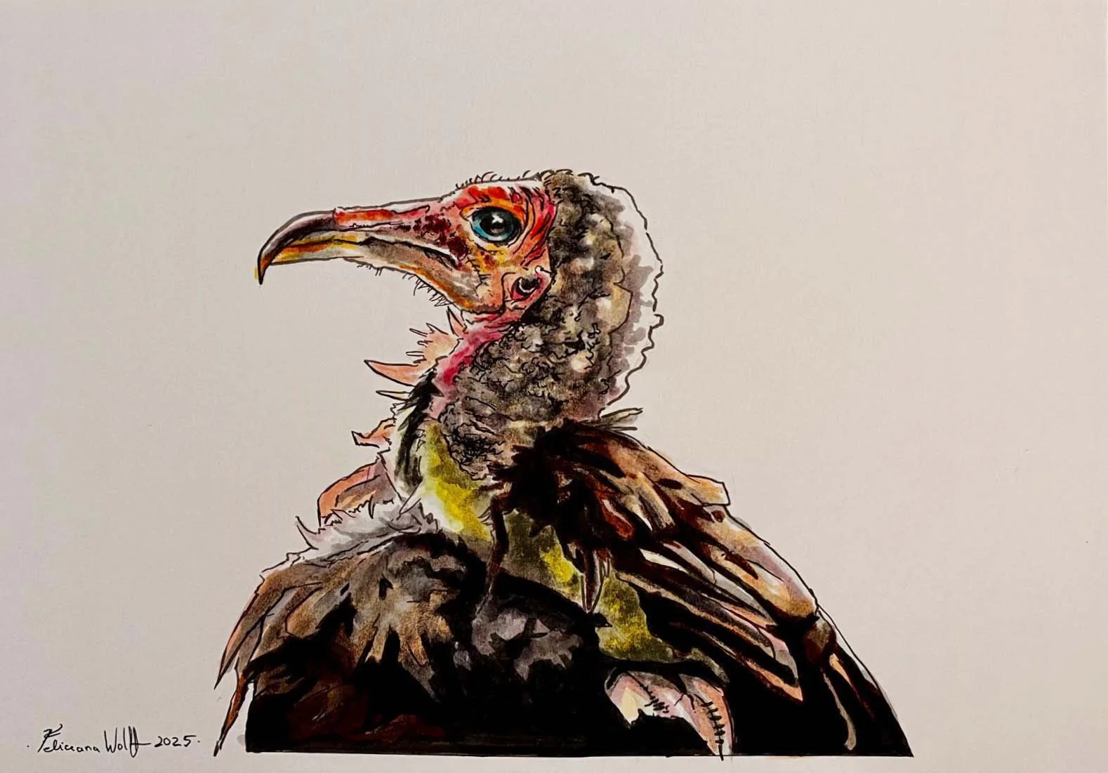 "Konturen und Flächen II"