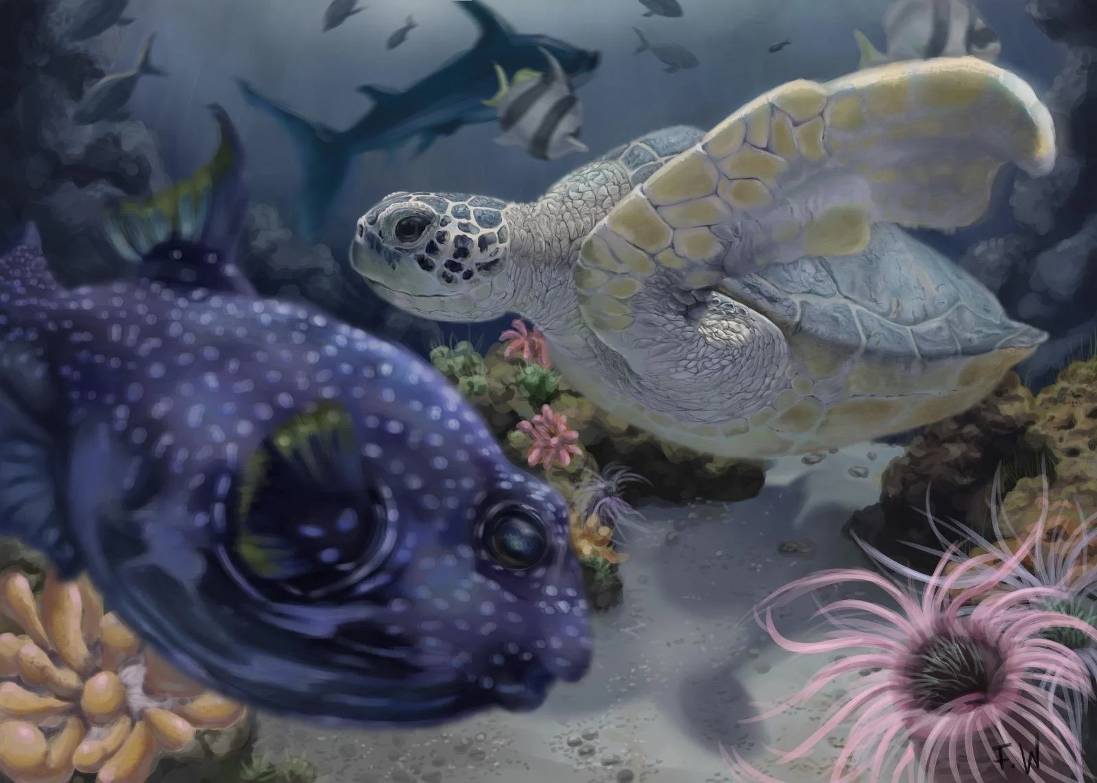 Bald Verfügbar-"Ocean Tango" limitierte Aufl.