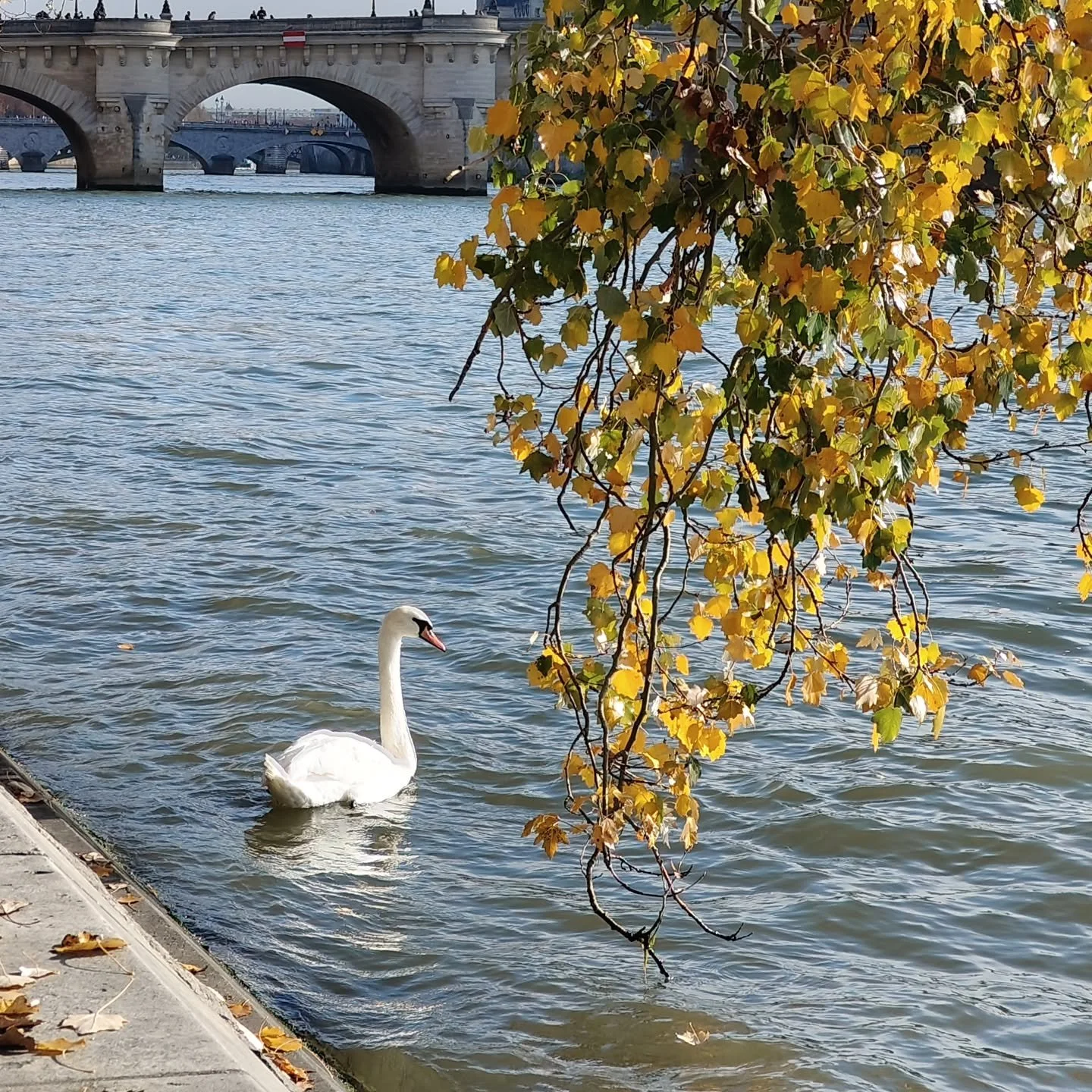 Dimanche d'automne... Po&eacute;sie...