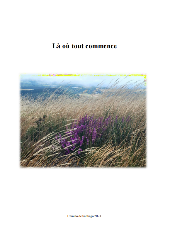 Couverture d'un livre avec une photo d'un champ d'herbes hautes et de lavande violette, avec un ciel nuageux en arrière-plan, et le titre 'Là où tout commence' en haut.