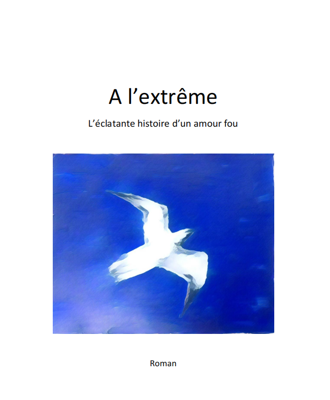 Couverture de livre avec titre "À l’extrême" et sous-titre "L’éclatante histoire d’un amour fou", illustration d'une mouette blanche volant dans un ciel bleu.