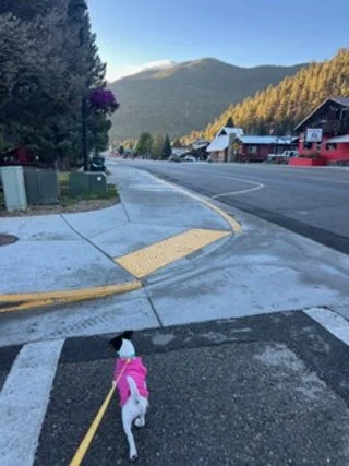 Dogwalkingdownmainstreetredriver.jpeg