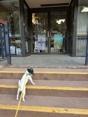 DogShoppingRedRiver.jpeg