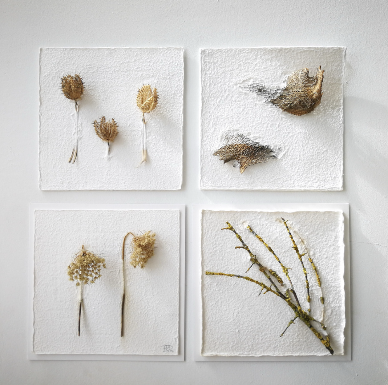 DIALOGOS CON LA NATURALEZA.png