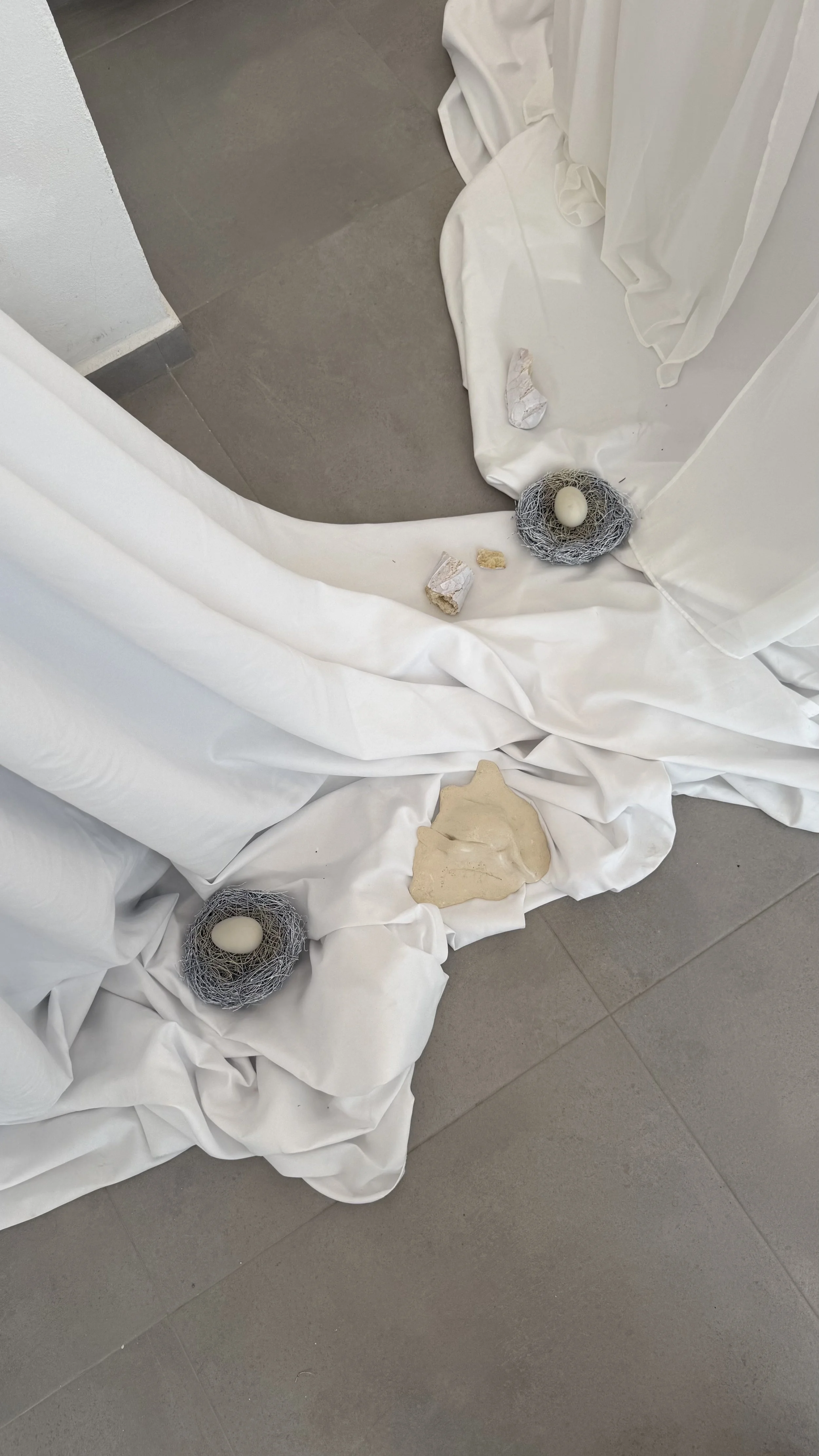 detalles.jpg
