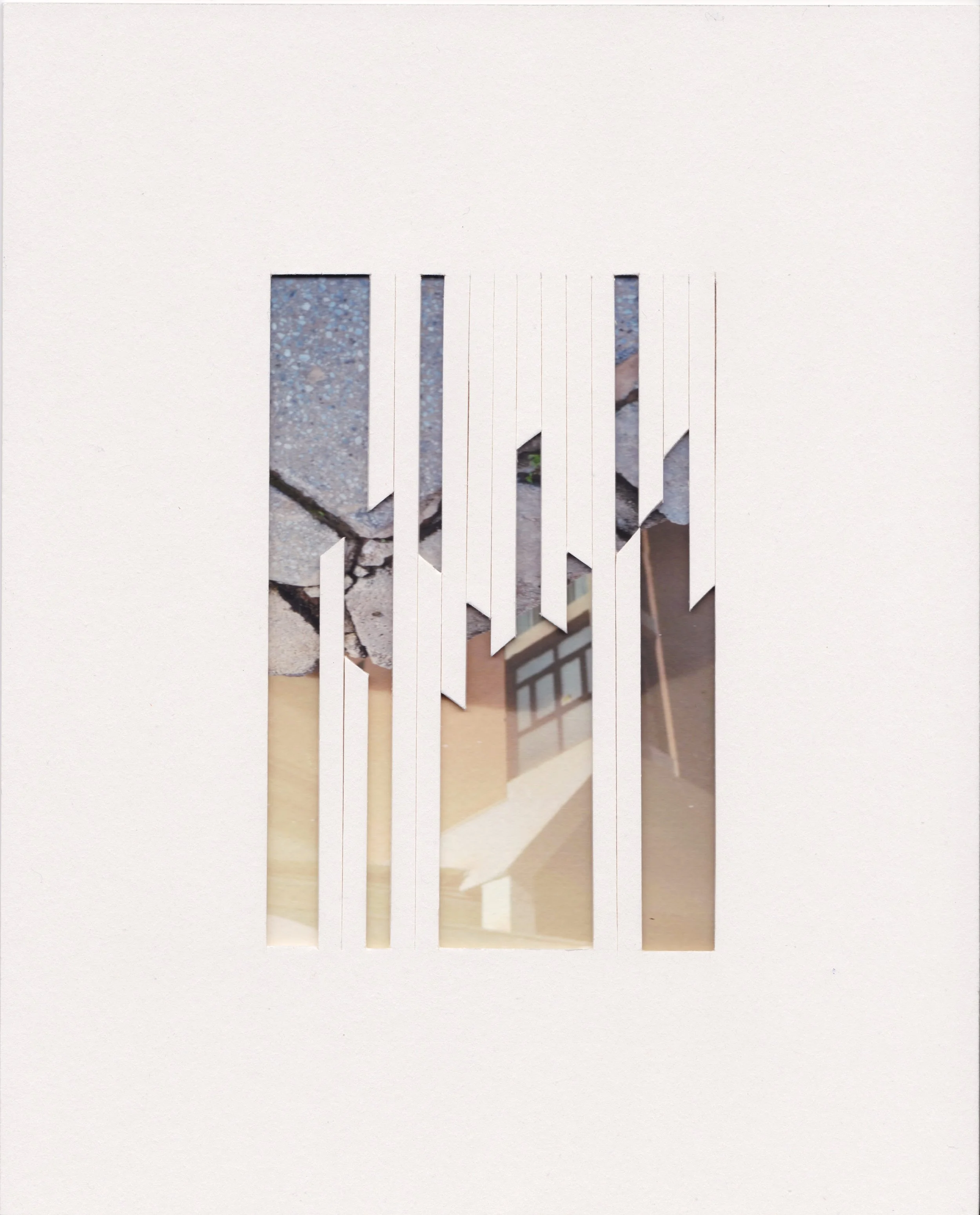 arquitectura viva1_20X25.jpg