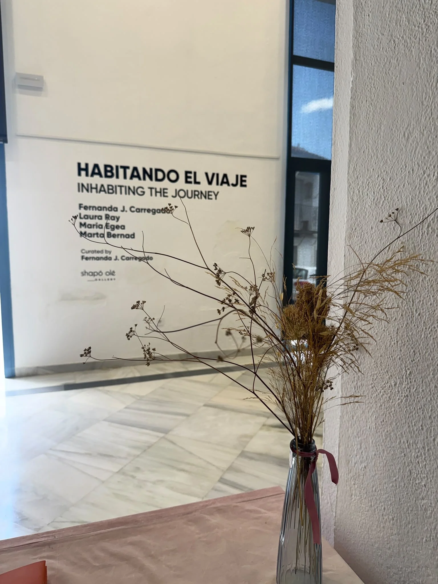 HABITANDO EL VIAJE.JPG
