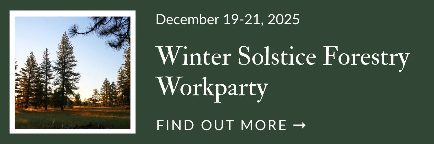 Winter Solstice Forestry  Workparty.jpg