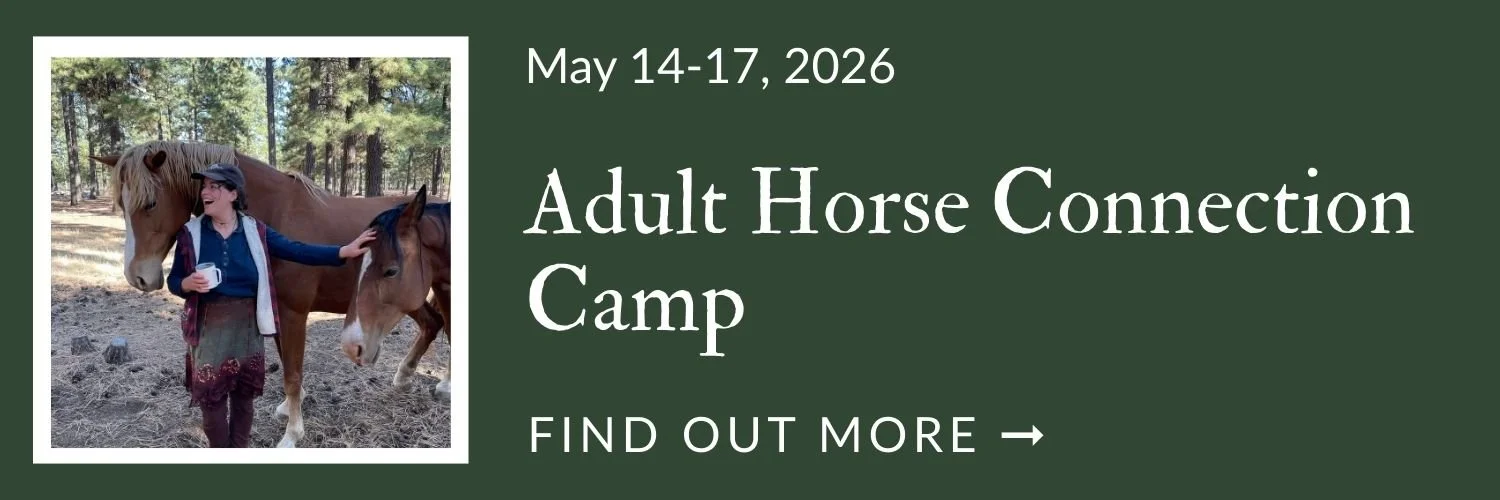 Adult Horse Connection Camp.jpg