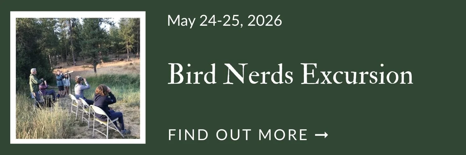 Bird Nerd Excursion (1).jpg
