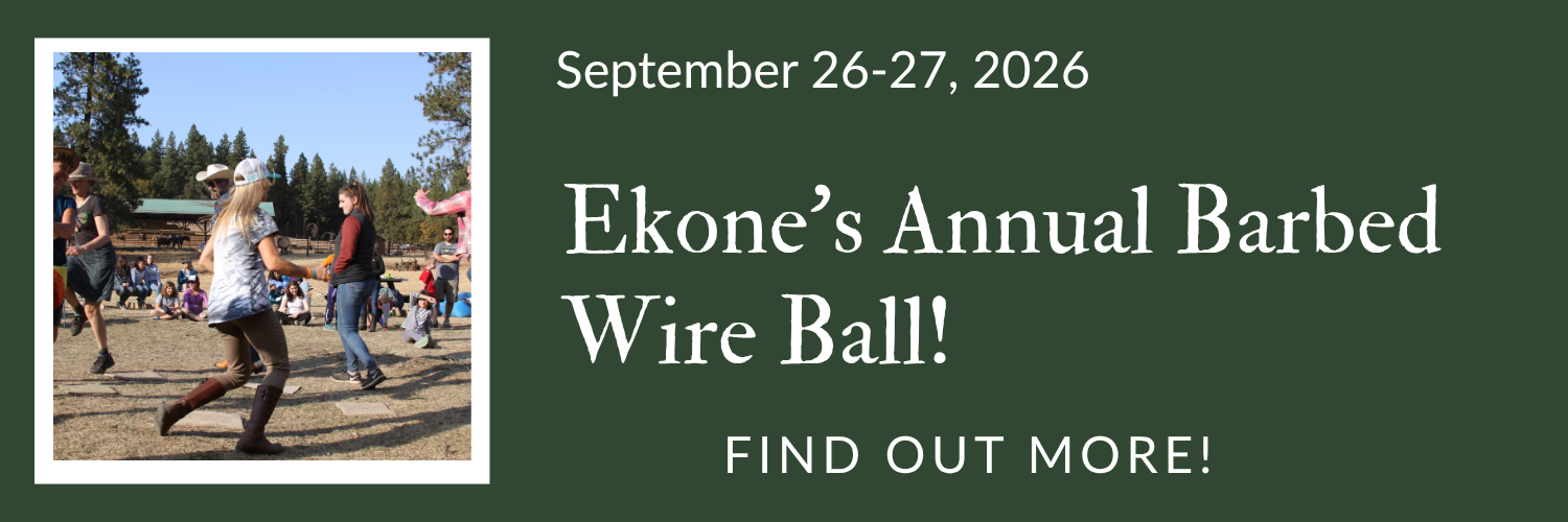 Barbed Wire Ball