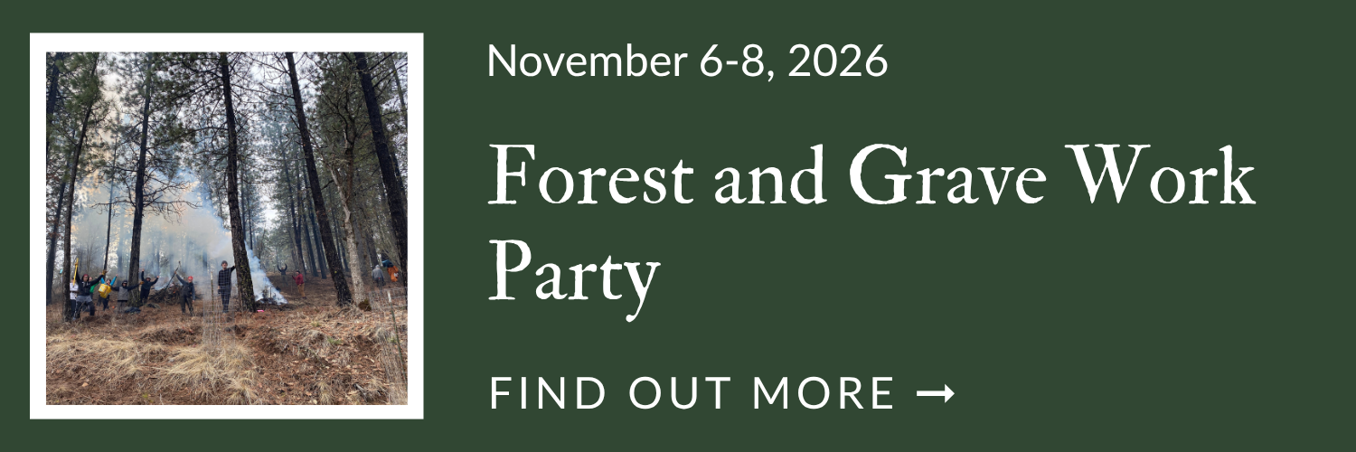 Forest and Grave