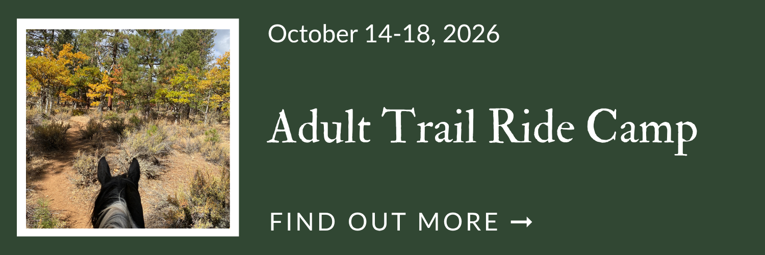 Adult Trail Ride Camp (1).png