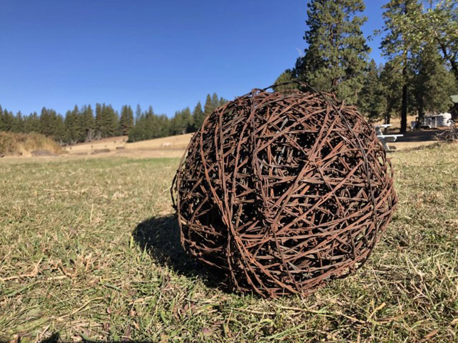 A large rusted wire ball sculpture on a grassy outdoor field, with trees and a building in the background under a clear blue sky.