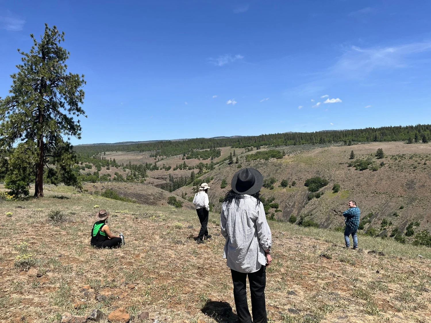 Four people in hats and casual clothing are standing and sitting on a hilltop overlooking a valley with hills and sparse vegetation under a blue sky.