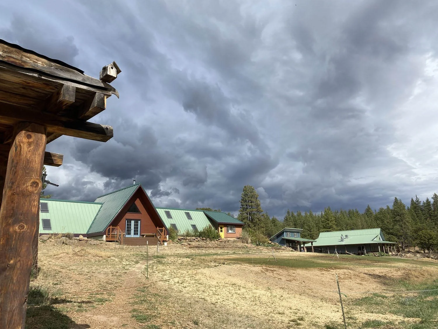 Rural scene with several houses with green roofs, under a cloudy sky, with trees in the background.