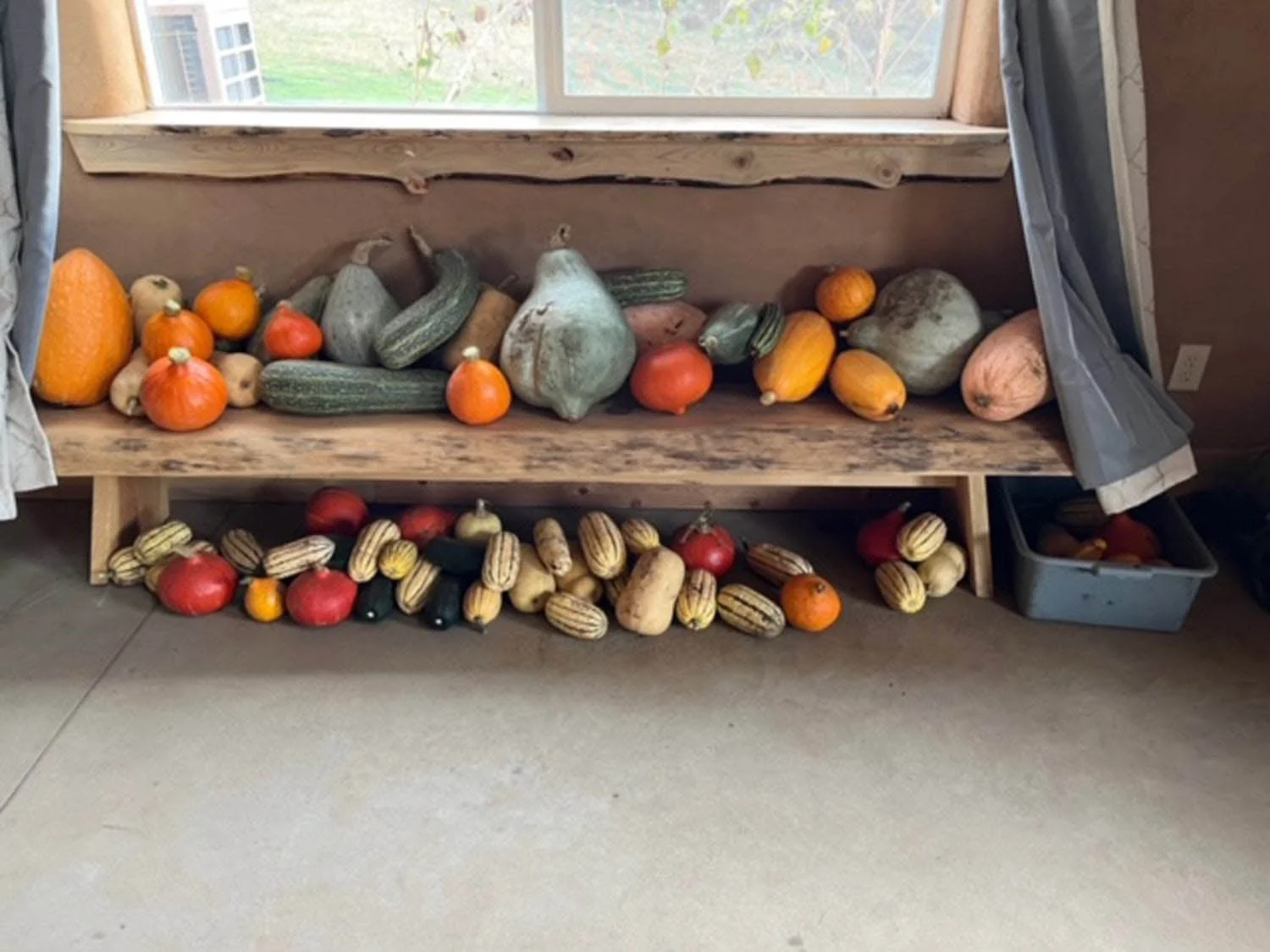 Display of various decorative gourds and pumpkins on a rustic wooden shelf in front of a window.