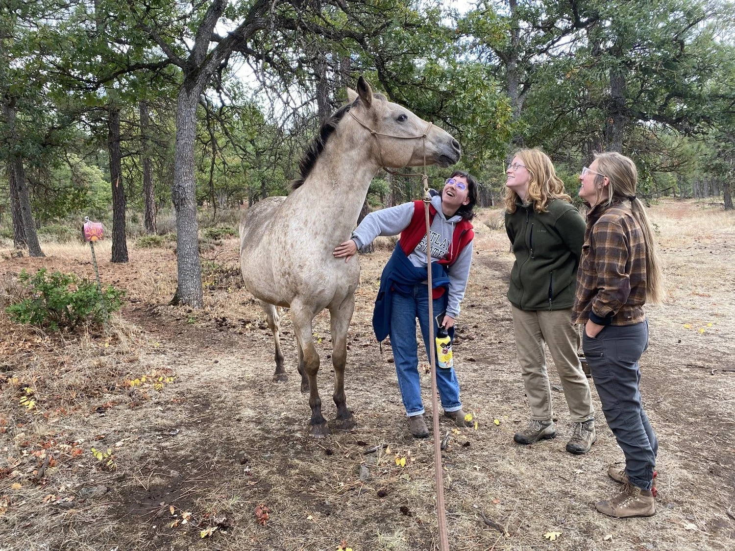 Three women and a horse in a wooded outdoor area. The women are smiling and interacting with the horse, which is facing them.