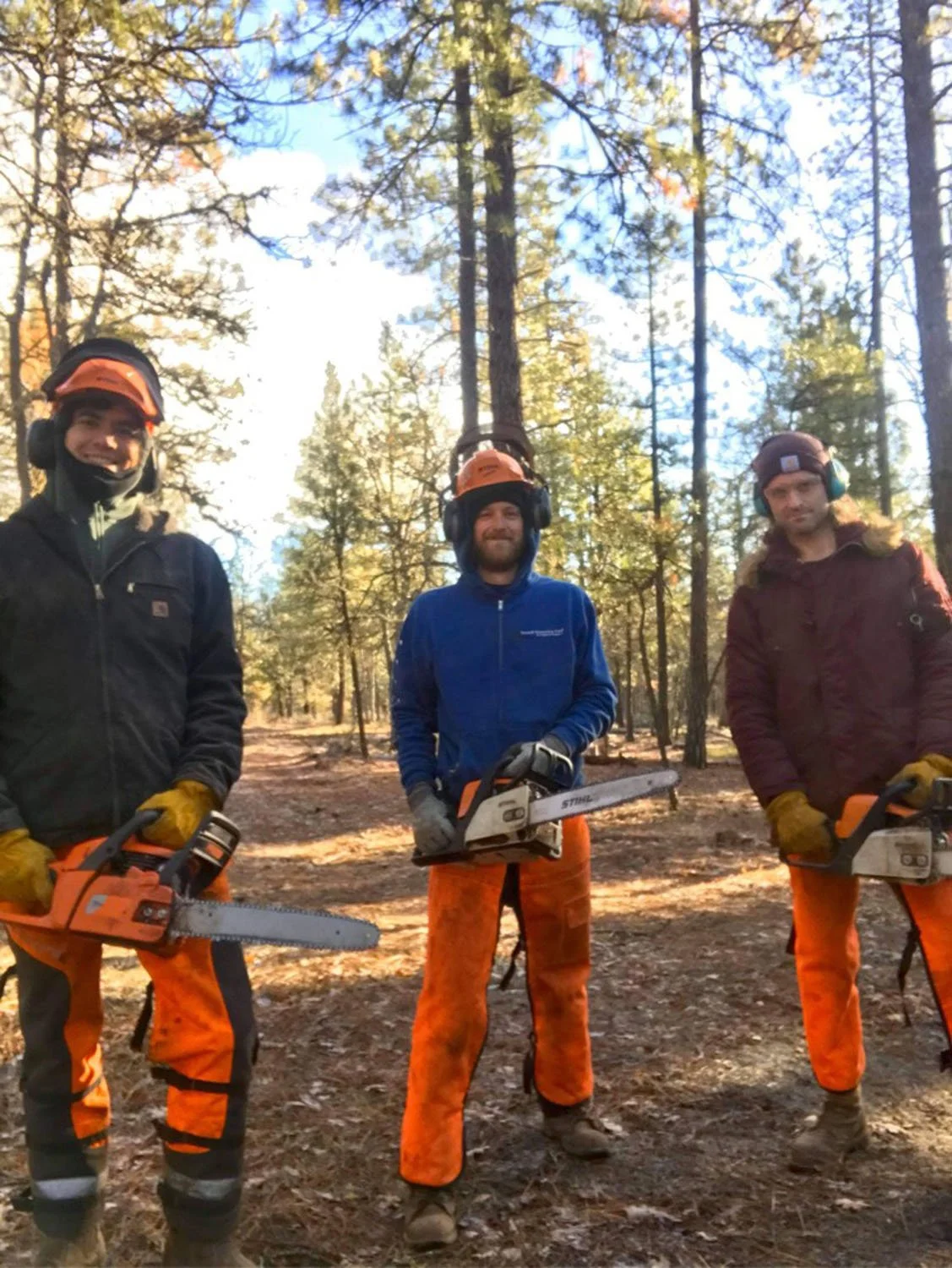Three men in safety gear holding chainsaws in a forest with tall trees and blue sky.