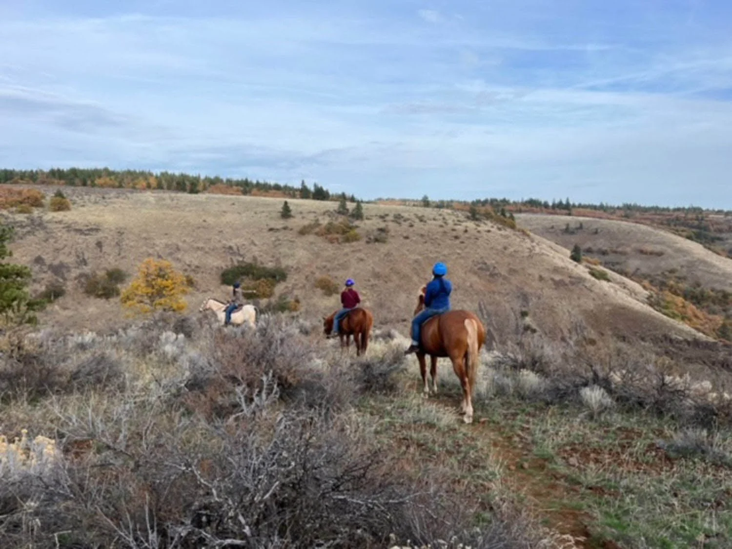 Three people riding horses on a trail through a grassy, hilly landscape with sparse trees and bushes, under a partly cloudy sky.