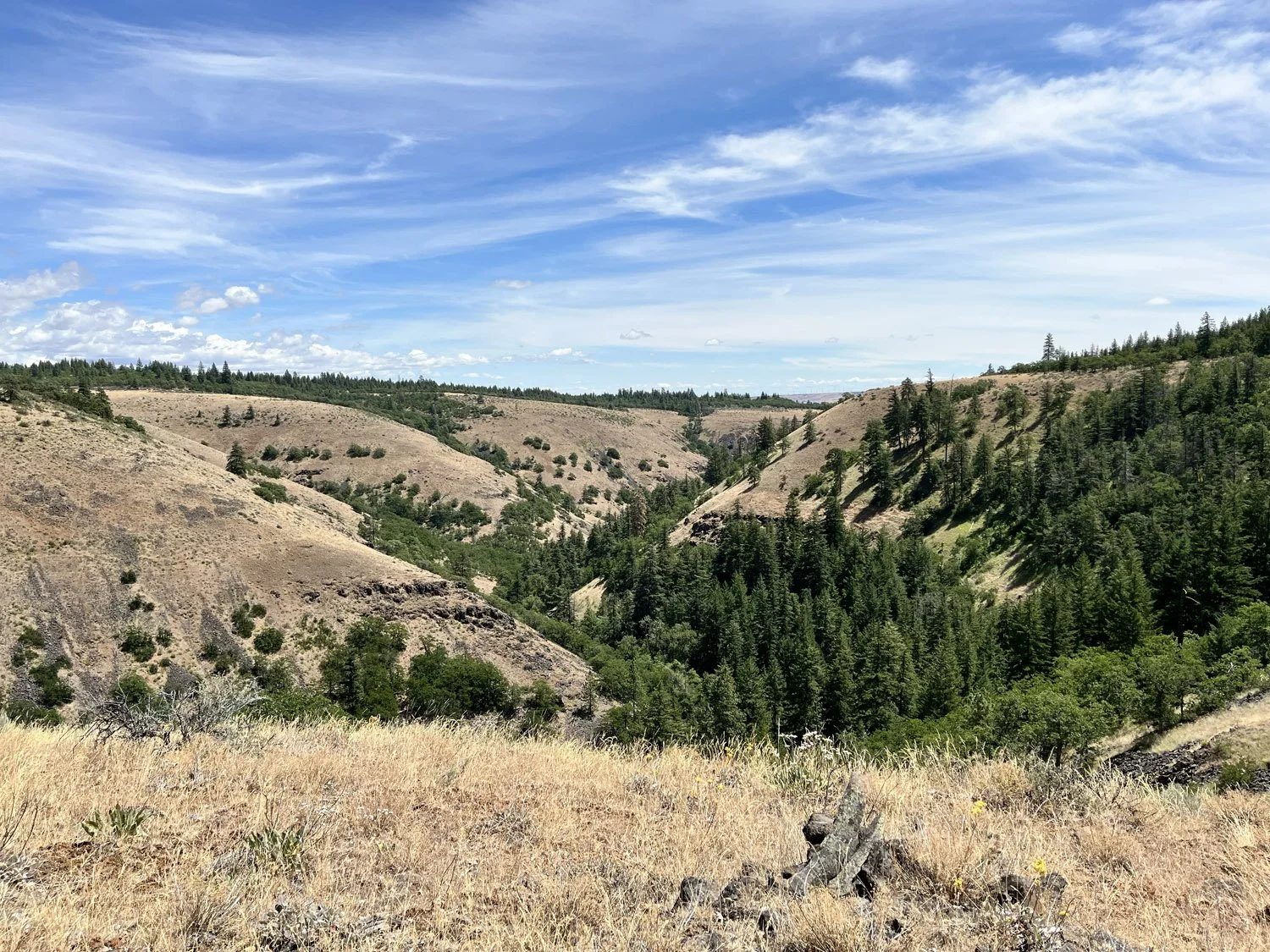 Scenic view of a valley with rolling hills and dense green trees under a partly cloudy blue sky.
