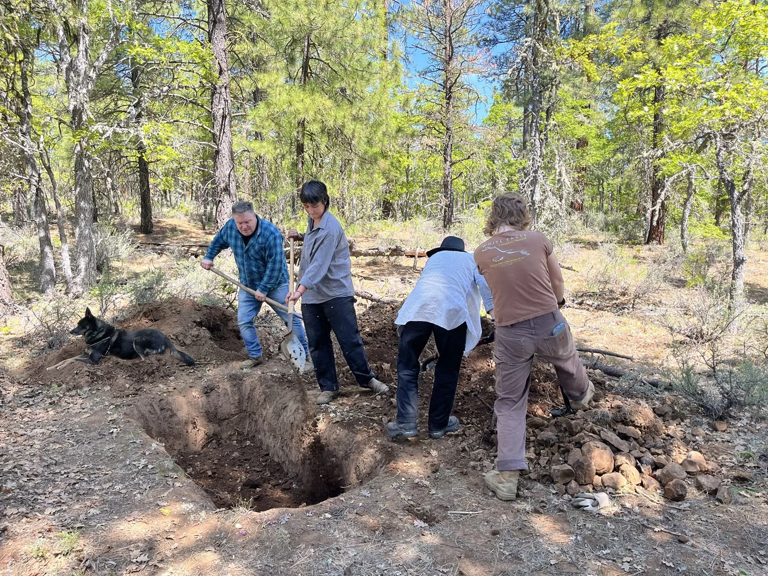 Four people working together to dig a hole in a forested area with tall trees and green foliage, with a dog lying nearby.