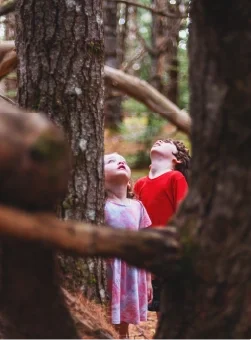 Photo of two young kids framed between the trunks of two large hardwood trees looking towards the sky