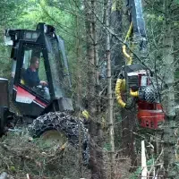 Image of a Rocan Enviro Thinning Harvester machine working in the woods with an operator in the cab atop large chain covered wheels.