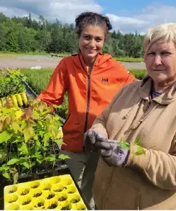 A women in an orange shirt smiles at the camera beside a small assortment of tree seedlings while another woman in a brown full length shirt holds a seedling and looks at the camera as well. A rural logging road and forest are in the background.
