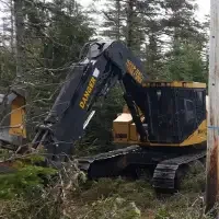 A Tigercat 845C Feller Buncher operates near a utility pole beside a logging road clearing several small trees at once.