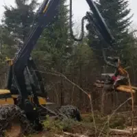 A large Eco Log 550 and 580 Harvester operating in a small clearing picking up several medium sized logs with a mechanical arm.