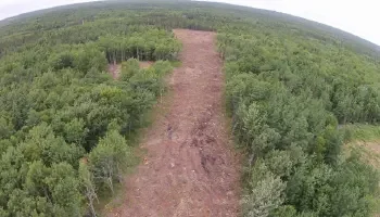 A long thin stretch of forest is absent where a forest logging road will go with lush green tree stands on either side.