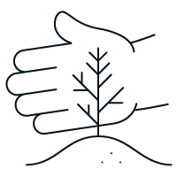 Icon of  a small pine tree seedling that's been recently planted with the outline of hand behind it, together representing tree planting.