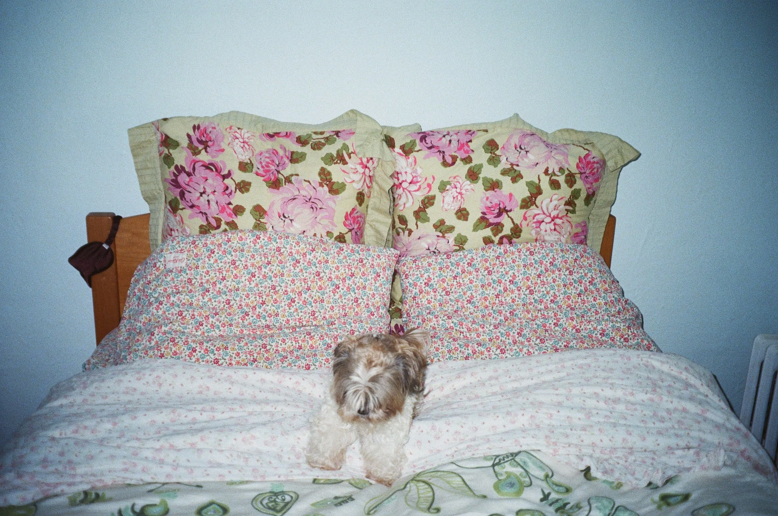 Bedroom 3, 2025