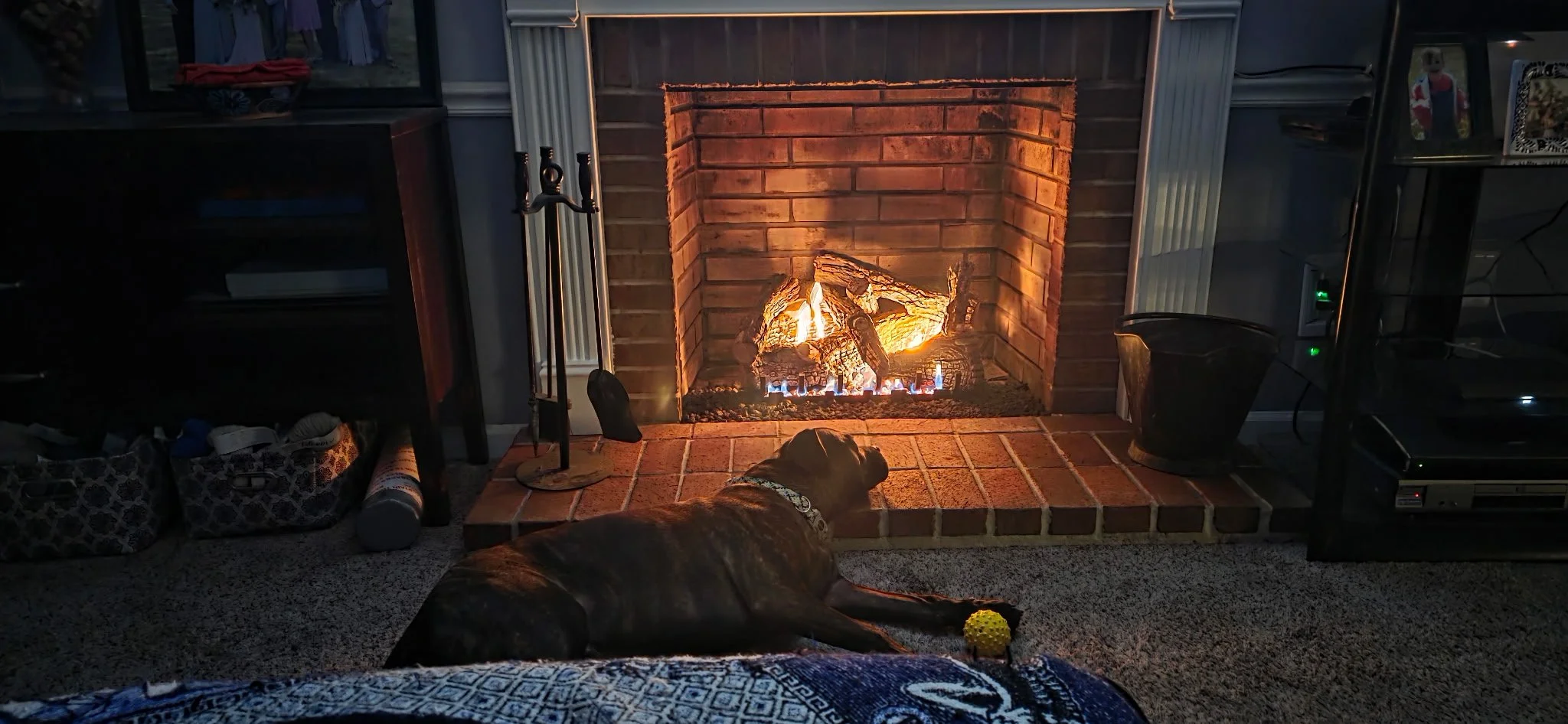 Dog lying on carpet in front of lit fireplace with logs, toy ball nearby, surrounded by furniture and decorative items.