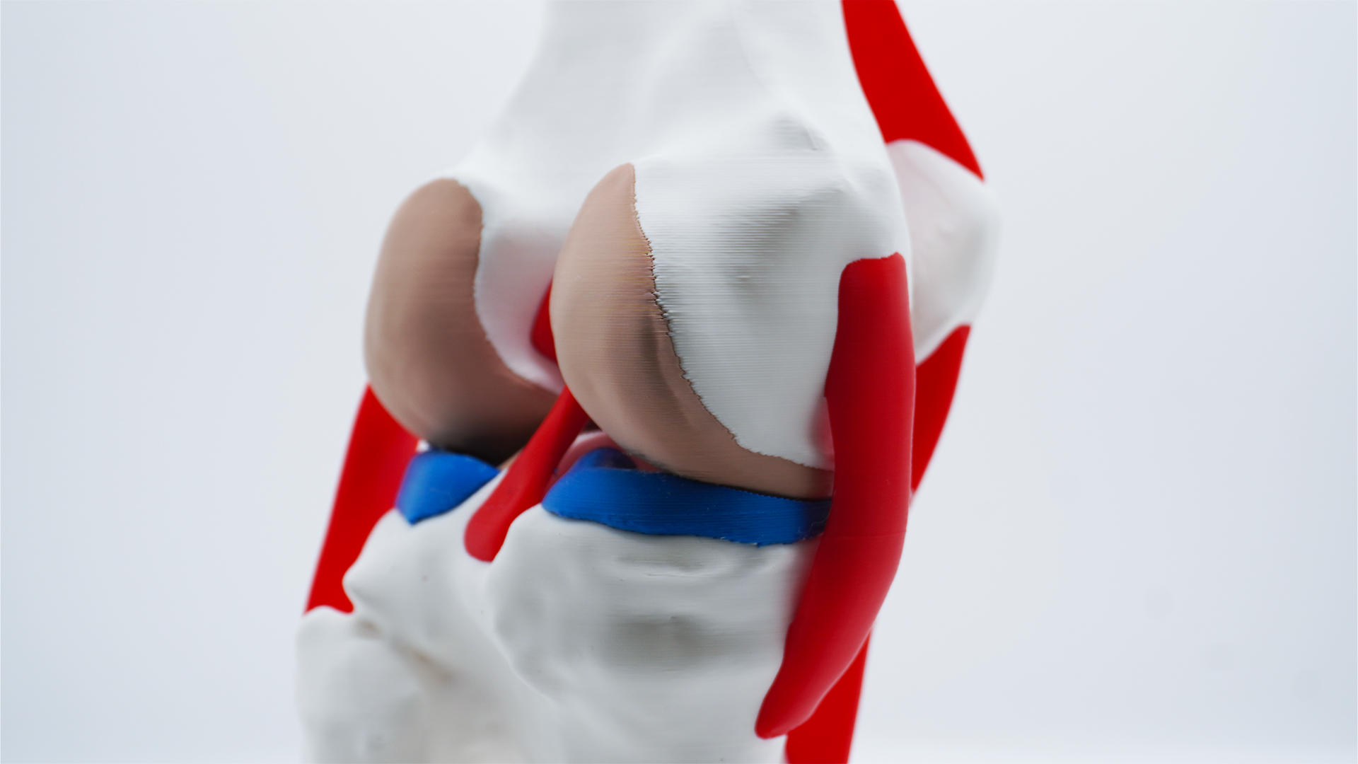 Articulation_2.png