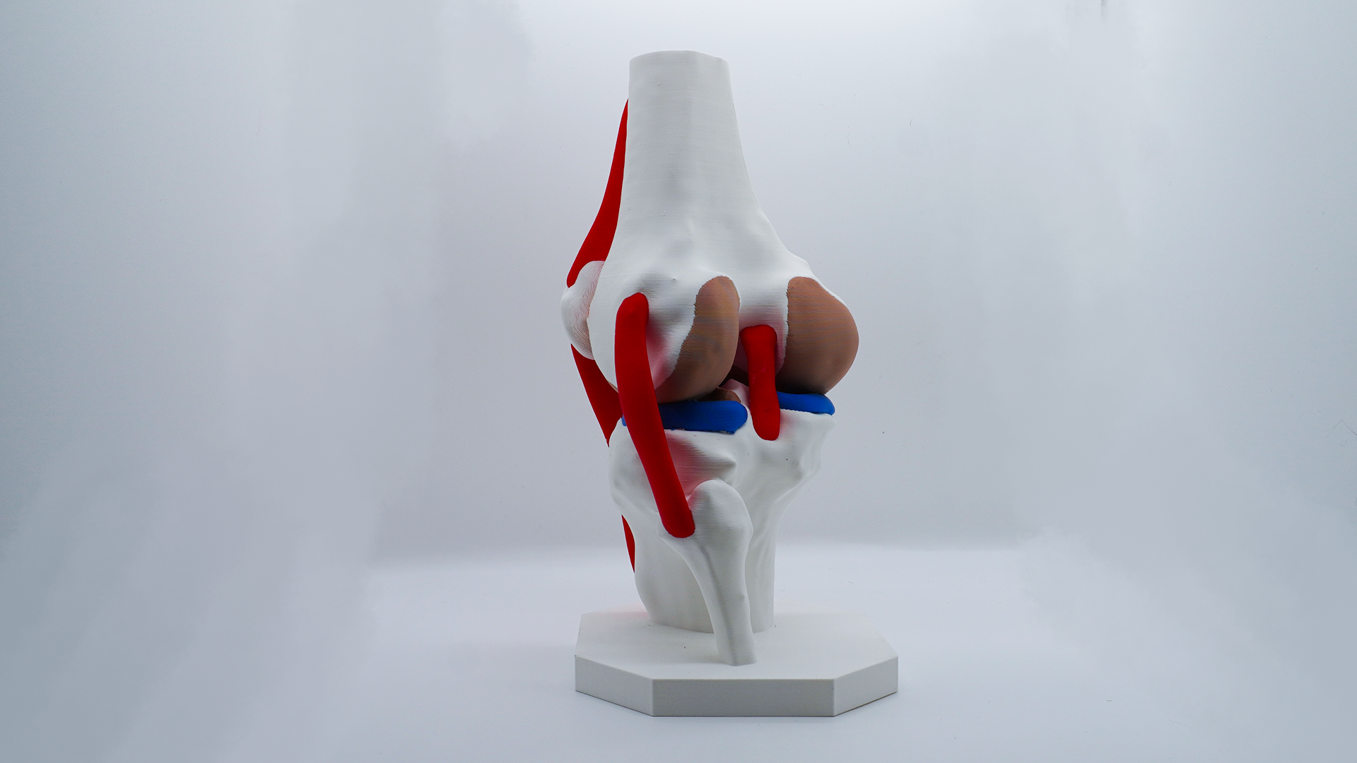 Articulation_1.png