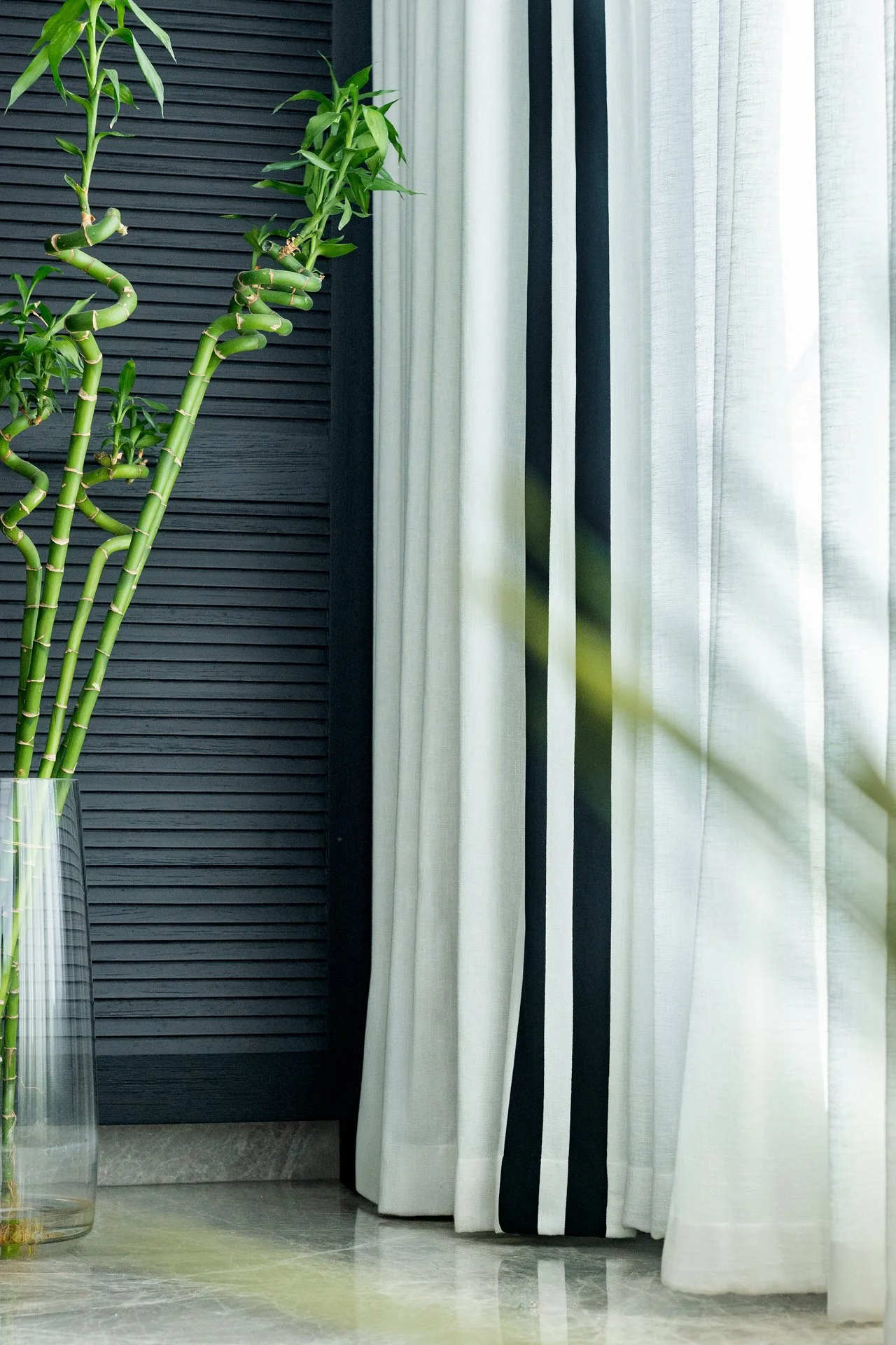 A room corner with dark textured wall, sheer white curtains, and a tall green houseplant with bamboo-like stems in a glass vase.
