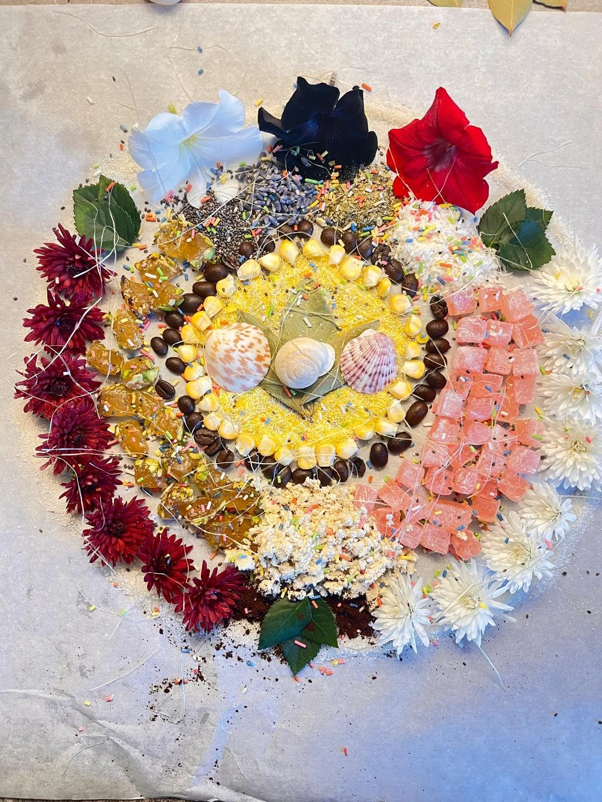 WhatsApp Image 2026-03-09 at 15.21.41 (2).jpeg