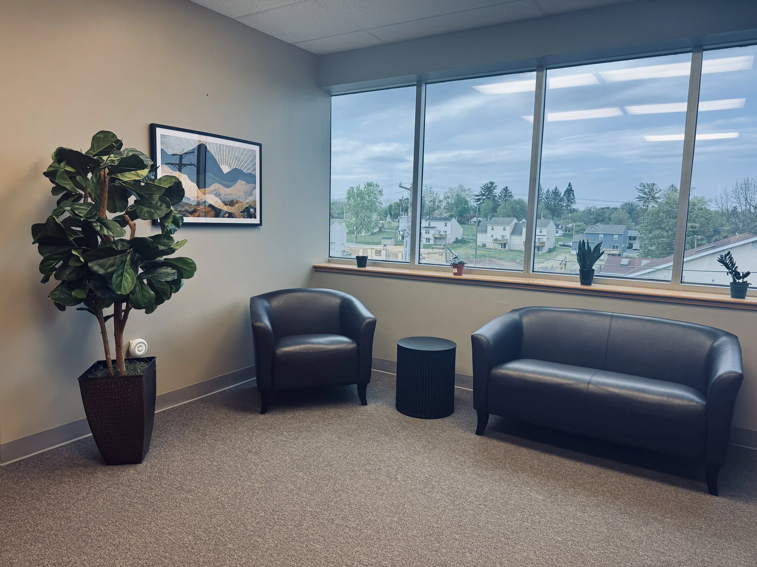 Interior of an office with a large window showing a suburban neighborhood, a potted plant, two black chairs, and a framed picture of abstract mountain landscape.