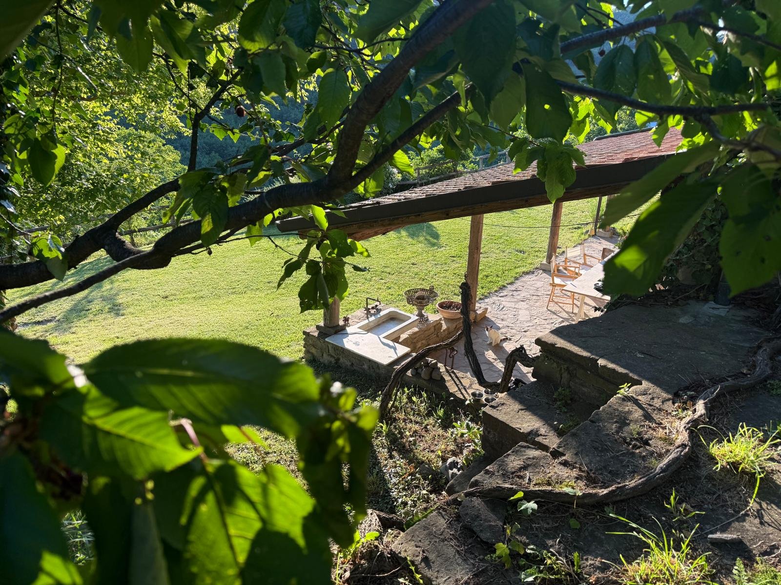 Nature resort private pool and tennis