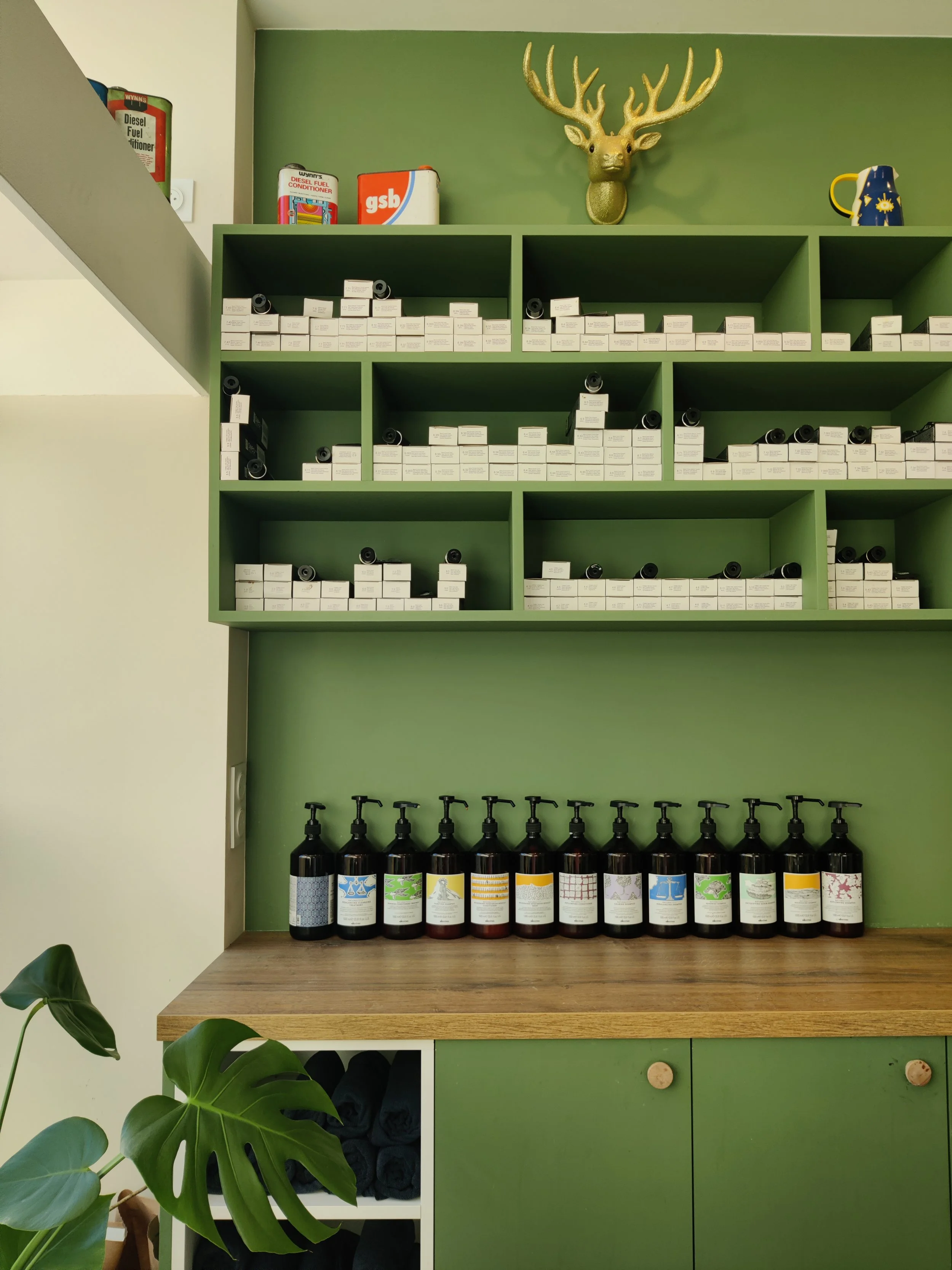 Étagère verte avec des boîtes de produits en haut, plusieurs bouteilles de savon ou d'huile sur le comptoir en bois en bas, une plante verte à gauche.