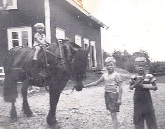 To barn som holder en hest, en barn som rir på hesten, og to barn som holder hesten i bakken foran en hus.
